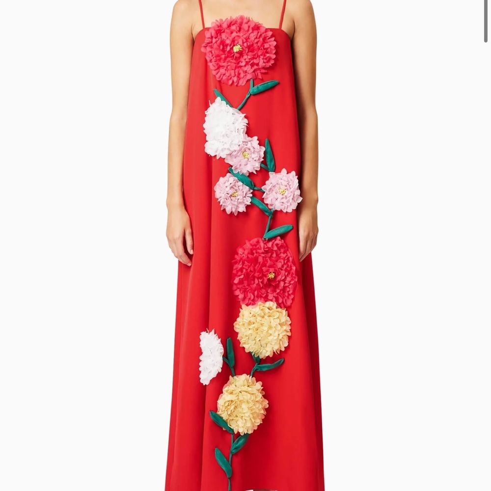Elliatt Red Maxi Dress with 3D Floral Appliqués